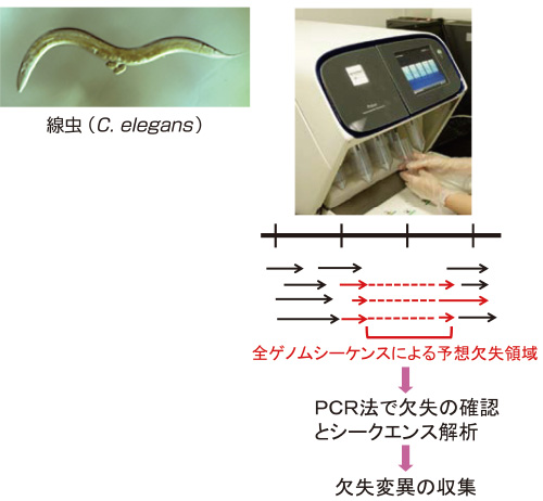 nbrp
