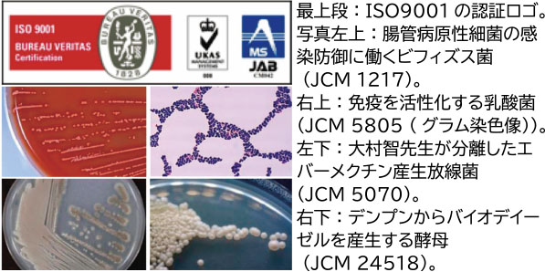 一般微生物 リソース拠点の紹介 Nbrp